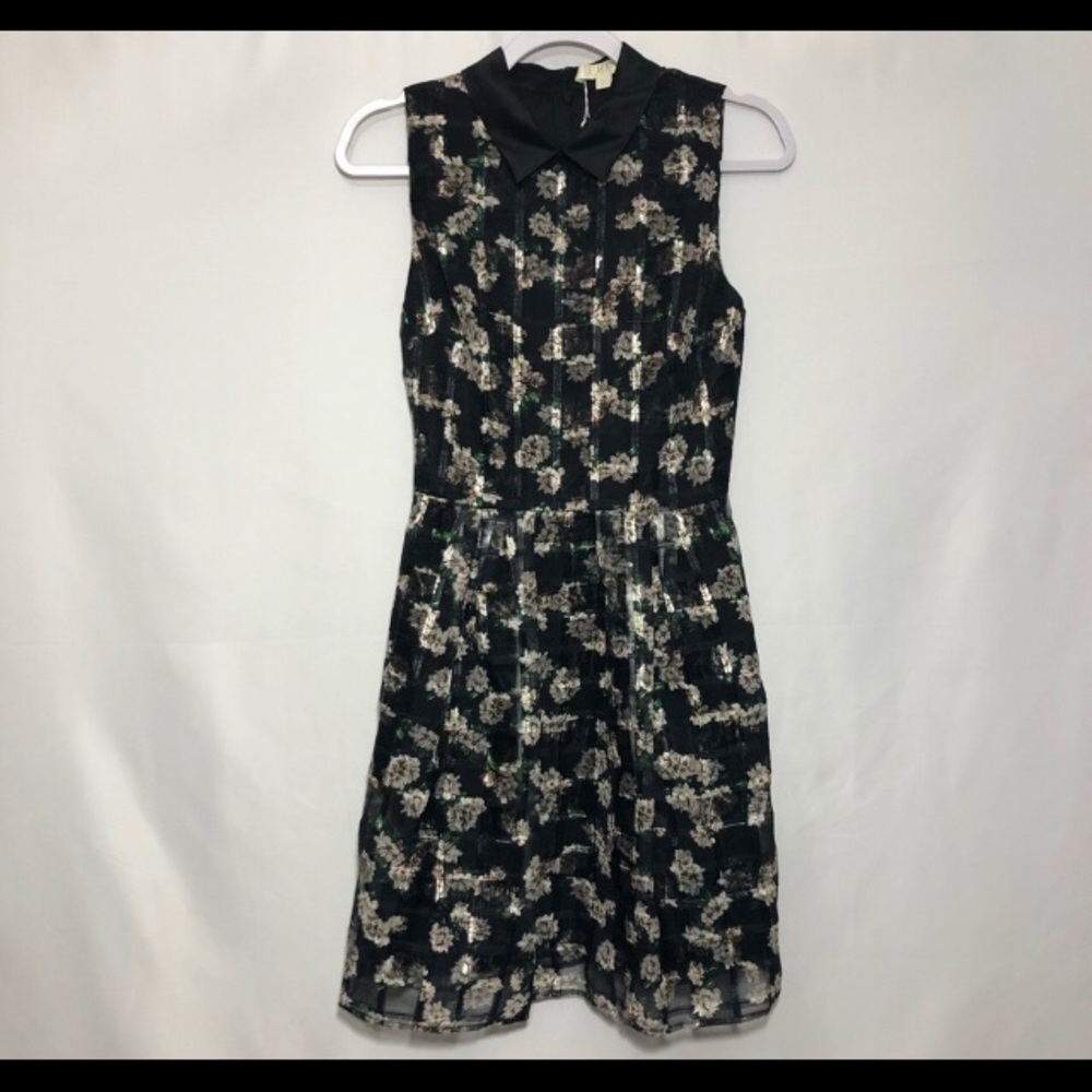 Erin Fetherston Organza Dress